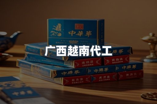 广西越南代工